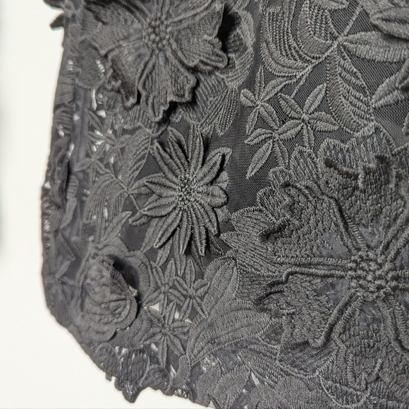 Fashion Nova Denise Sheer Mesh Flower Embroidered Hi-Rise Flare Pants Black sz L - Picture 6 of 17